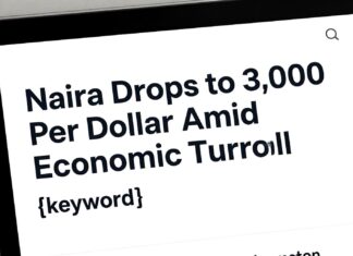 Naira Drops to 3,000 Per Dollar Amid Economic Turmoil