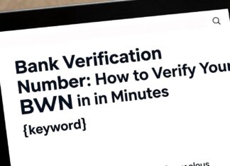 Bank Verification Number: How to Verify Your BVN in Minutes