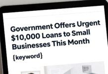 Government Offers Urgent $10,000 Loans to Small Businesses This Month