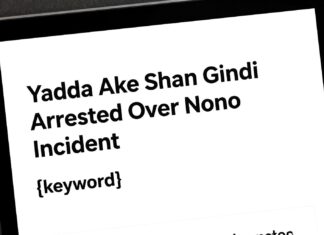 Yadda Ake Shan Gindi Arrested Over Nono Incident